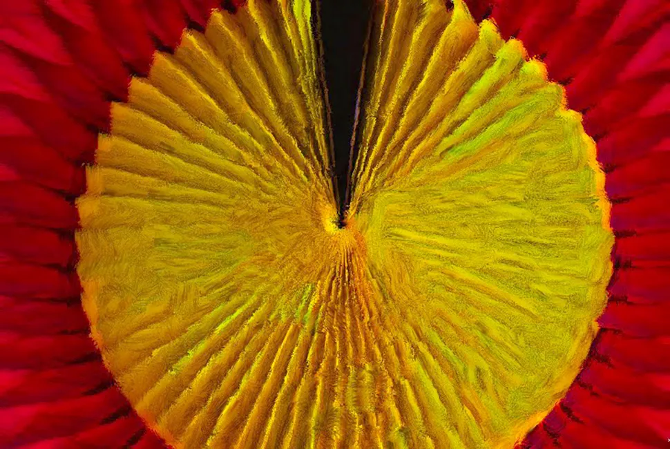 Foto pintura autoral de Ricardo Laf de um adereço circular e colorido