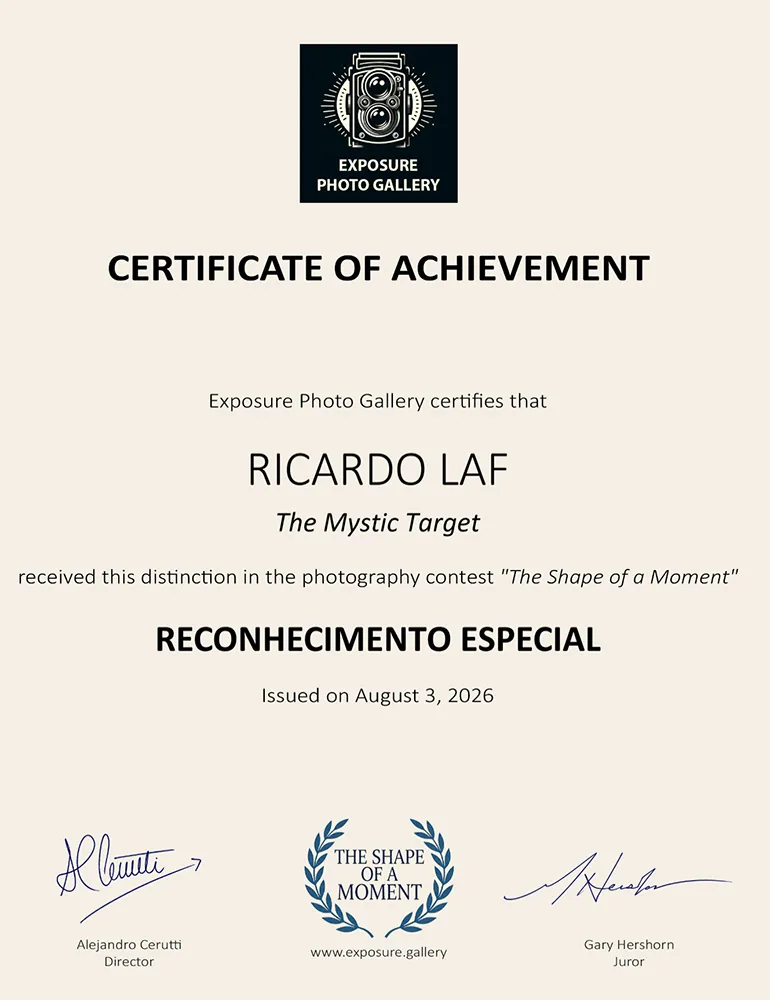 Certificado de Reconhecimento Especial para a foto "The Mystic Target" no Concurso " The Shape of a Moment" da Exposure Photo Gallery