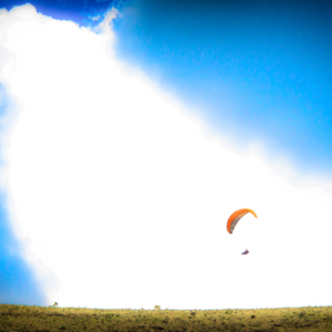 Paraglider