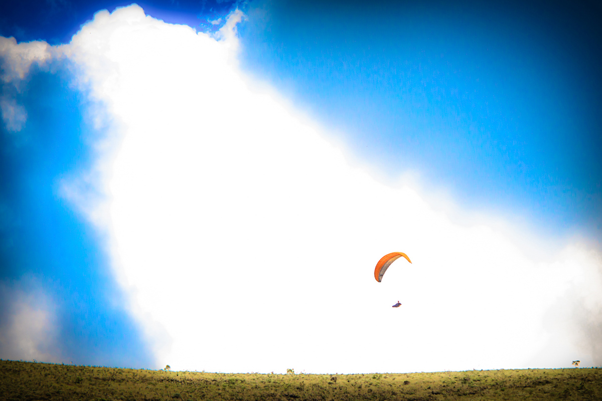 Paraglider