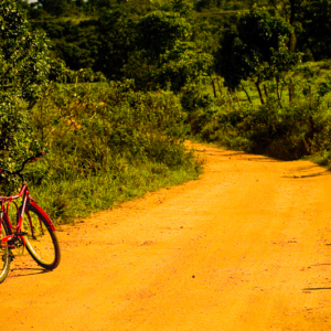 Fotografia autoral de Ricardo Laf capturando uma vista serena da lagoa em Lagoa Santa, Minas Gerais, com a vegetação rasteira em primeiro plano e o céu azul refletido na água.