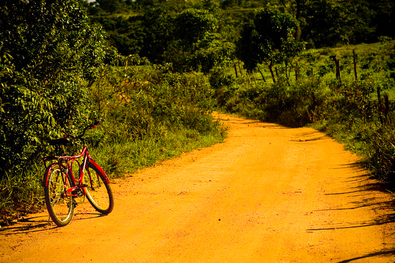 Cena em uma estrada rural - MG, Brasil