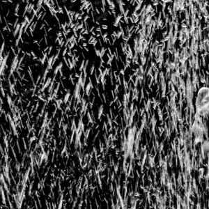 Fotografia em preto e branco de Ricardo Laf capturando o detalhe de uma escultura na Praça da Liberdade envolta pelo movimento das águas de uma fonte em alta velocidade.