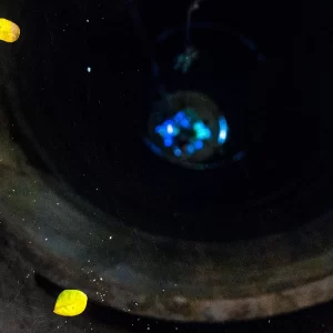 Fotografia artística de Ricardo Laf mostrando o interior de uma cisterna, com contrastes acentuados de luz e sombra sobre a superfície da água e texturas das paredes.