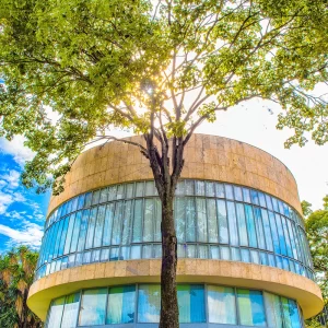 Fotografia de Ricardo Laf do Museu de Arte da Pampulha (MAP) em Belo Horizonte, destacando a fachada de vidro e mármore sob a copa de uma árvore e céu azul.