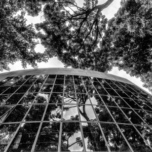 Fotografia artística em preto e branco de Ricardo Laf mostrando a fachada curva de vidro do Museu Histórico Abílio Barreto em Belo Horizonte, refletindo árvores densas.