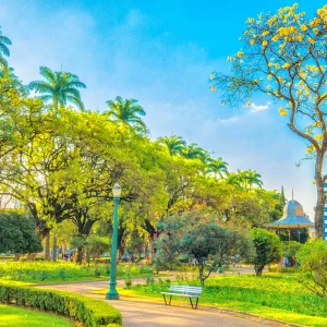 Fotografia colorida de Ricardo Laf da Praça da Liberdade em Belo Horizonte, com árvores de flores amarelas em destaque, gramado verde e céu azul.