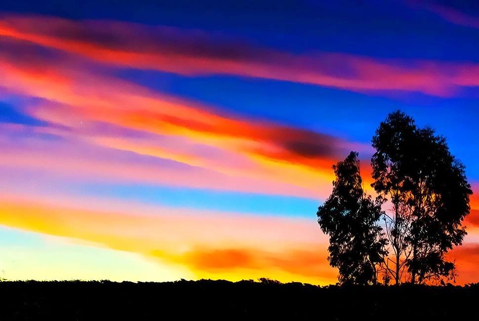 Fotografia de Ricardo Laf mostrando o contraste entre a silhueta de árvores escuras e um céu de pôr do sol com camadas intensas de laranja, amarelo e azul em Lagoa Santa, Minas Gerais.