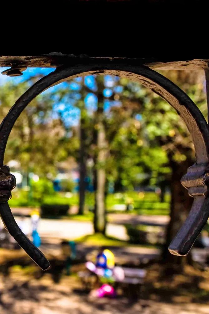 Fotografia autoral de Ricardo Laf na Praça da Liberdade, em Belo Horizonte. A imagem utiliza um elemento de metal em primeiro plano como moldura circular para a paisagem arborizada da praça ao fundo. Obra do álbum Paisagens, Cenas e Detalhes.