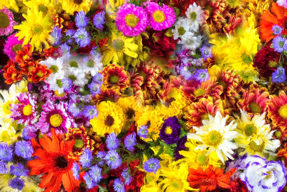 Fotografia artística da série Foto Pinturas com foco em flores vibrantes e texturas densas que simulam pinceladas de tinta a óleo, por Ricardo Laf.