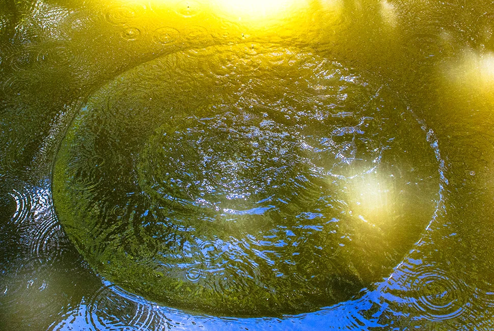 Fotografia focando na superfície da água do Parque Municipal de Belo Horizonte, mostrando círculos concêntricos e reflexos dourados do sol entre sombras azuis e verdes.