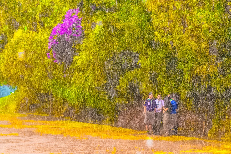 Vista do Parque Municipal Lagoa do Nado sob chuva, destacando a vegetação densa, o espelho d'água e pessoas ao fundo, fotografia de Ricardo Laf.
