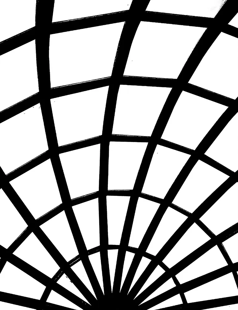 Foto de Ricardo Laf mostrando em close uma grade metálica com padrão geométrico radial em alto contraste preto e branco.