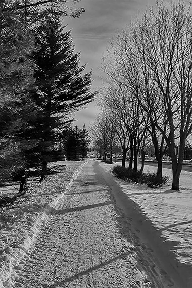 Fotografia autoral em preto e branco de Ricardo Laf capturando um caminho estreito e coberto de gelo em Reykjavik, Islândia. A imagem destaca a textura da geada e a paisagem urbana de inverno ao fundo. Obra do álbum Fotogramas da Terra do Gelo.