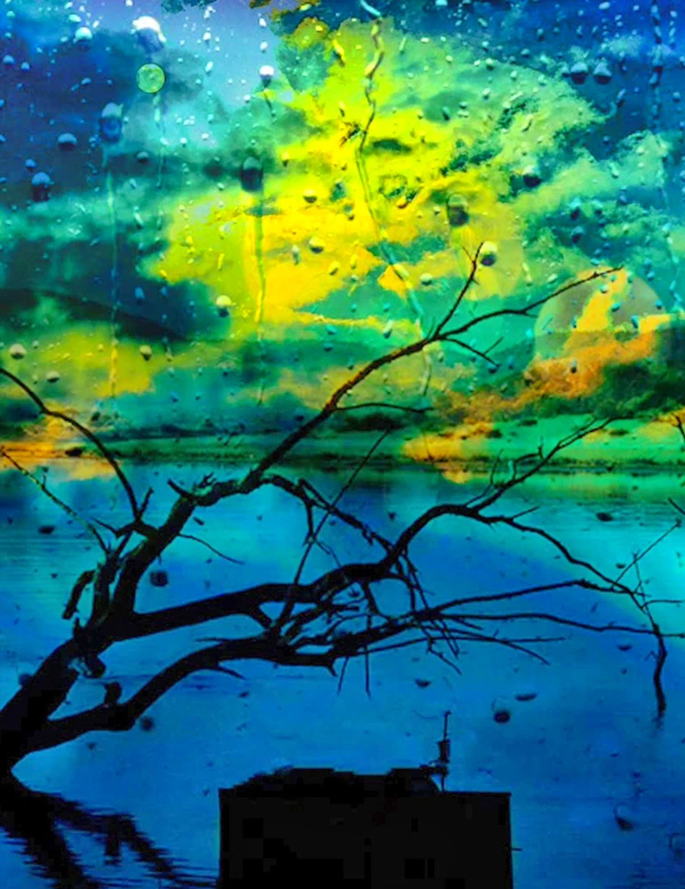 Fotografia de Ricardo Laf da série Foto Pinturas, retratando uma paisagem de lago e árvores vista através de um vidro molhado pela chuva, com cores saturadas e texturas pictóricas.