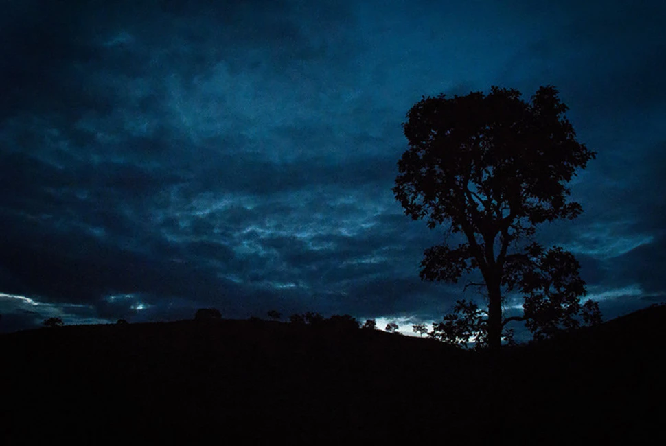 Fotografia de Ricardo Laf mostrando a silhueta negra de uma árvore solitária contra um céu noturno azul profundo e nublado em Lagoa Santa, Minas Gerais.