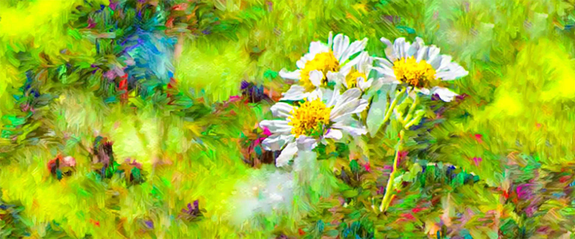 Para fotografia existe um paradigma técnico que assinala o tempo de uma era analógica e de uma era digital